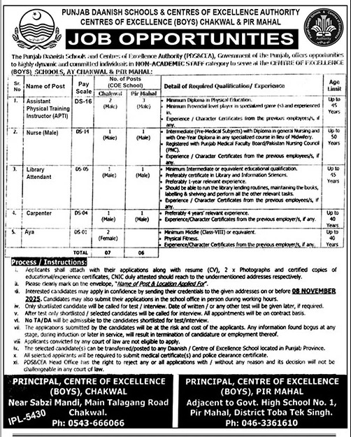 Punjab Daanish Schools Chakwal Jobs 2025