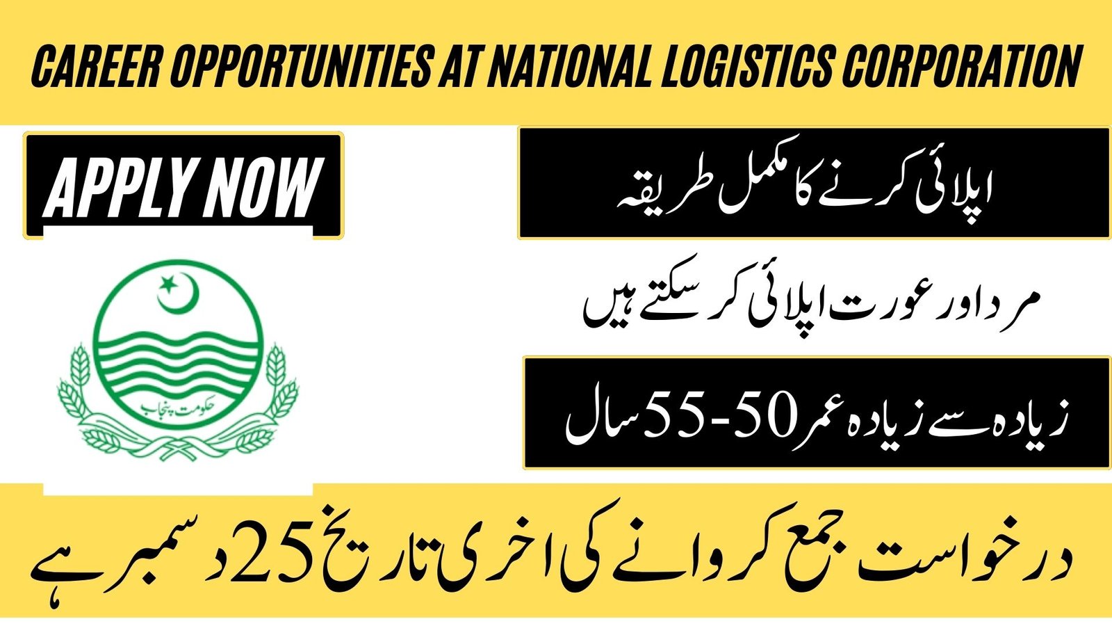 National Logistics Corporation 2025