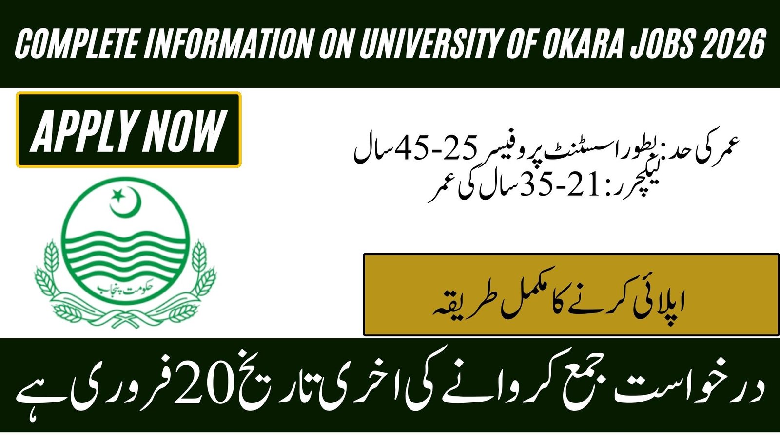 University of Okara Jobs 2026