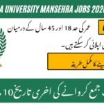 Hazara University Mansehra Jobs 2026