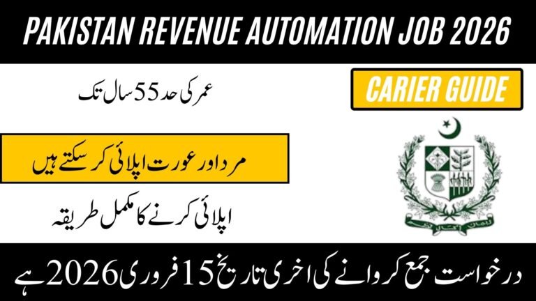 Pakistan Revenue Automation Job 2026