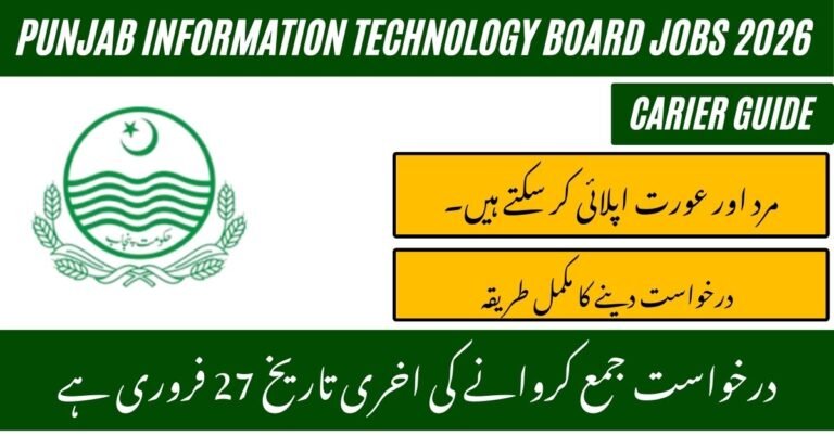 Punjab Information Technology Board Jobs 2026
