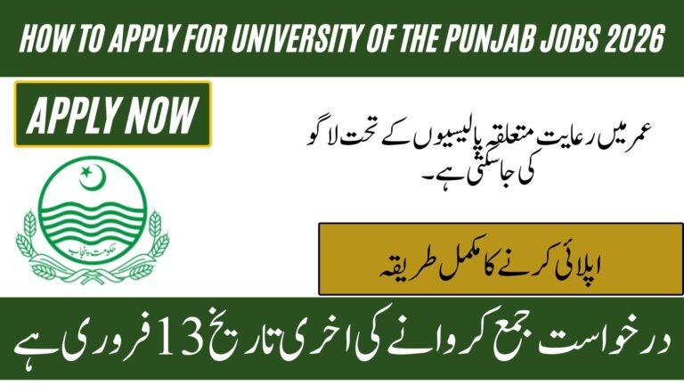 University of the Punjab Jobs 2026
