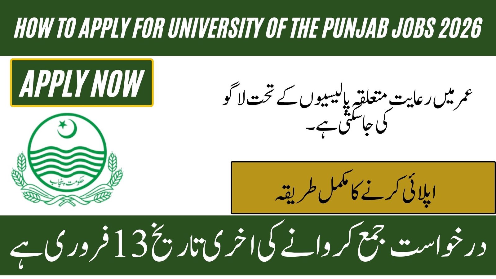 University of the Punjab Jobs 2026