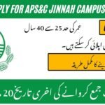 APS&C Jinnah Campus Jobs 2026